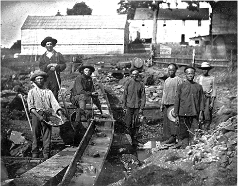 gold rush australia 1850. gold rush australia chinese.