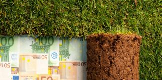 valeurs refuges