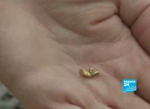 Une pépite d'or trouvée dans une rivière en Californie